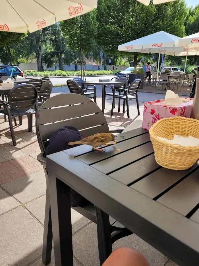 Hanoi Pho Bar orientalny Kuchnia azjatycka Kuchnia wietnamska - Restauracja Gdynia