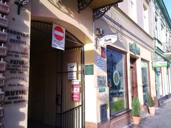 Herbaciarnia Kocie Oczy - Kawiarnia Łódź