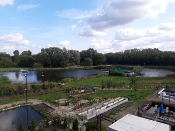 Hodowla Ryb Broniewice ryby żywe, wędzone, patroszone - Restauracja Inowrocław