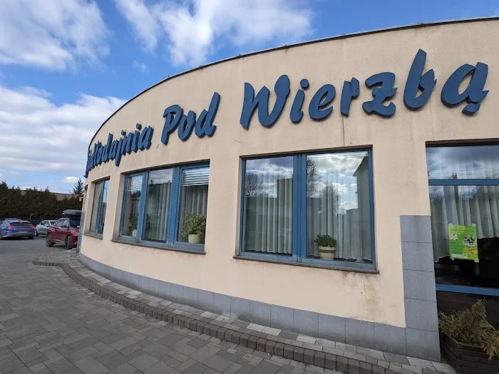 Jadłodajnia Pod Wierzbą - Restauracja Nowy Sącz