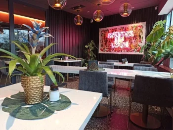 Jungle - kuchnia azjatycka - Restauracja Wrocław