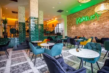 Kaktusy Kato Koncept Kulinarny - Restauracja Katowice