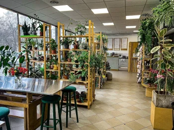 Kawa Kwiaty i Warsztaty - Restauracja Kraków