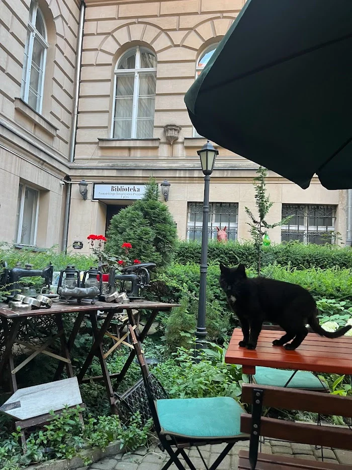 Kawiarnia U Przyjaciół Poznań