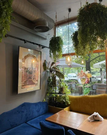 Libańska Fenicja - Restauracja Warszawa
