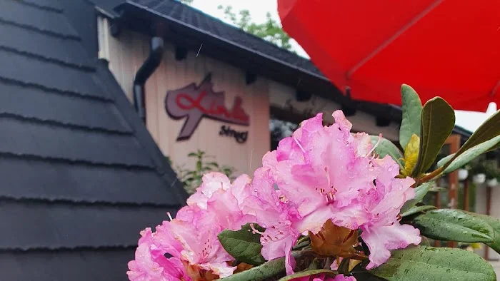 Limba Strugi - Restauracja Ostrów Wielkopolski