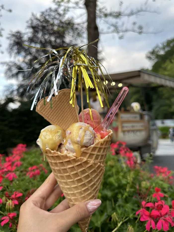 Lody Florencja - Krynica Zdrój - Restauracja Krynica-Zdrój
