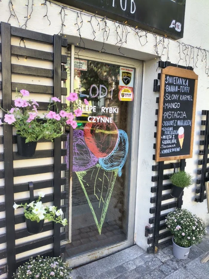 Lody naturalne Ślepe Ryby - Restauracja Poznań