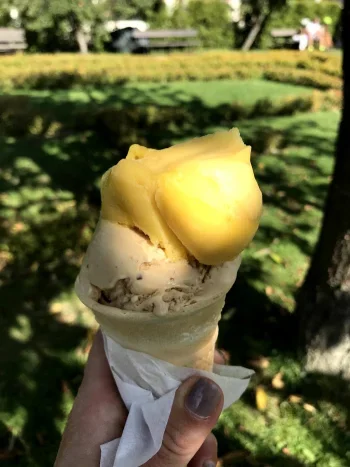 Lody tradycyjne i włoskie od wielu lat - Restauracja Lublin