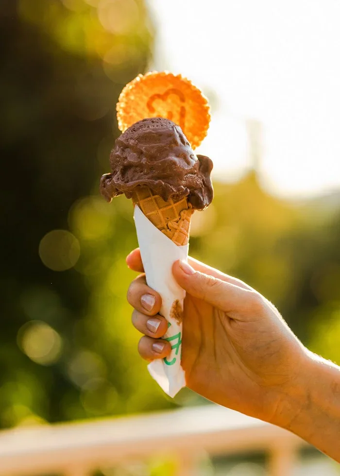Lody Willisch - Lodziarnia Piła - Restauracja