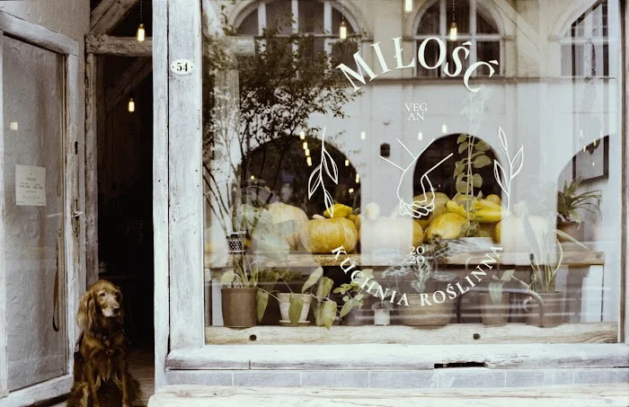 Miłość - Kuchnia Roślinna - Restauracja Poznań