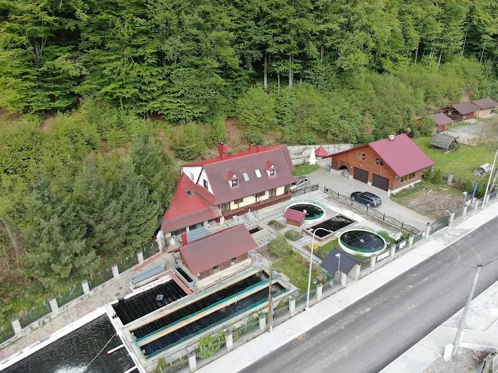 Monika Gawlas Wylęgarnia i hodowla ryb - Restauracja Wisła