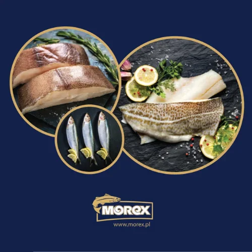 MOREX | Producent ryb - Restauracja Gdynia