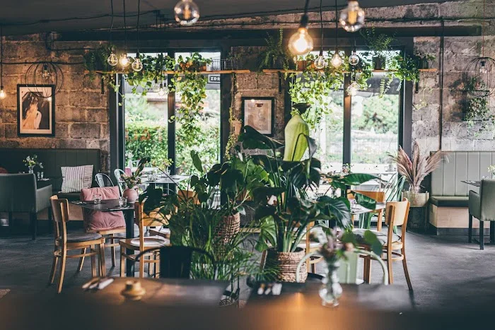 Mumuu Food Spot - Restauracja Katowice