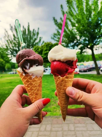 Natural Ice Cream Factory