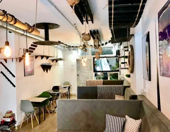 Neko Cafe ul. Prosta- Kocia Kawiarnia w Toruniu Neko Cafe ul. Prosta- Kocia Kawiarnia w Toruniu