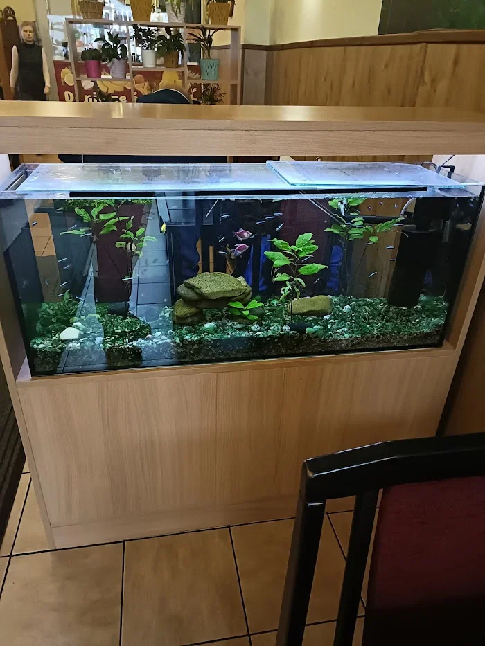 orientalna Thien Phuoc - Restauracja Kraków