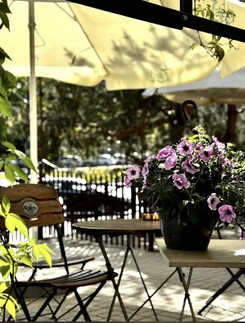 Pizzeria Piaski - Restauracja Łódź