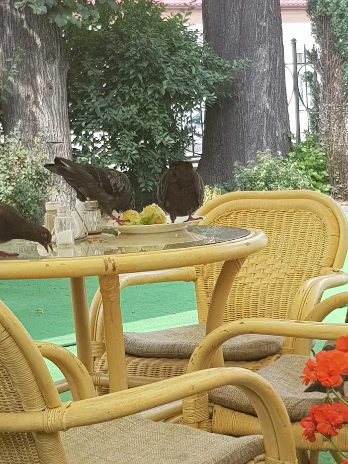 Pod Wierzbą. Restauracja Nowy Sącz
