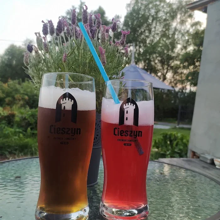 Przystanek Jarzębata- punkt gastronomiczny - Restauracja Wisła