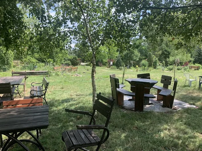Przystanek Opatowice "Piwo i Pierogi" - Restauracja Wrocław