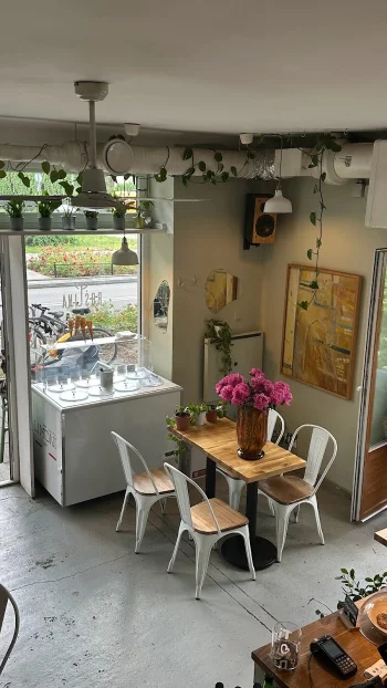 Roślina Cafe - Restauracja Warszawa