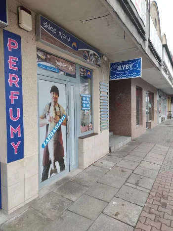 Ryby - Restauracja Kraków