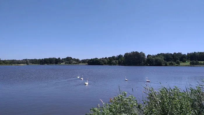 Ryby Zebrzydowice - Restauracja Rybnik