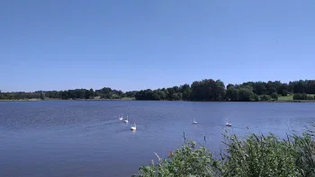 Ryby Zebrzydowice - Restauracja Rybnik