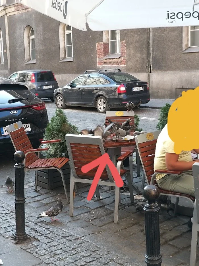 Schaboszczak od Dziadka - Restauracja Poznań