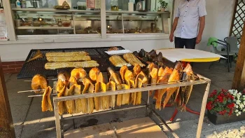Smaki Morza - Restauracja Międzyzdroje