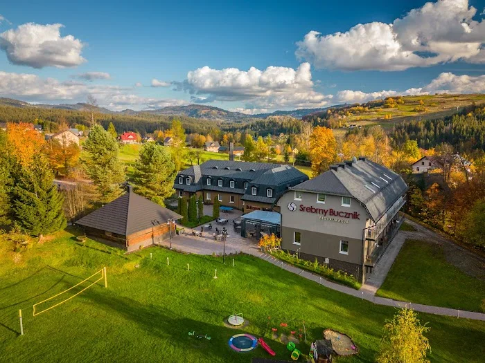 Srebrny Bucznik Wellness & Restaurant - Restauracja Wisła