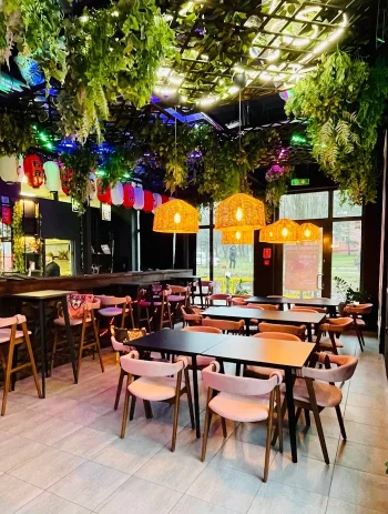 Sushi Art - Sushi, Ramen & More - Restauracja Łódź