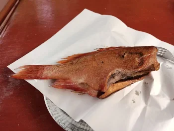 Wędzarnia ryb "U Asi" - Restauracja Krynica-Zdrój