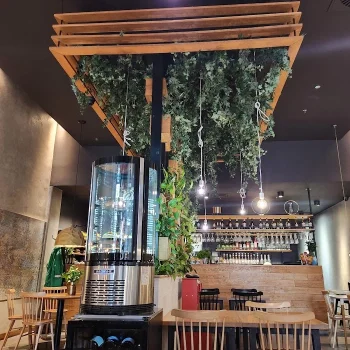 Zielona Wegetariańska i Wegańska - Restauracja Łódź